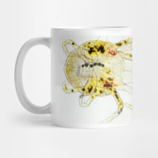 Spider mite under the microscope Mug